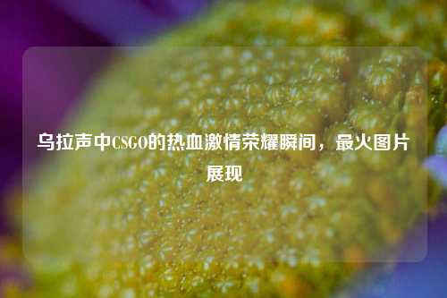 乌拉声中CSGO的热血激情荣耀瞬间，最火图片展现