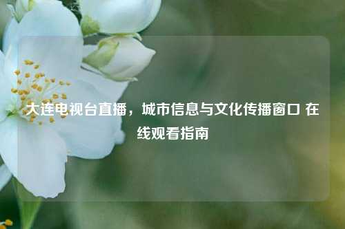 大连电视台直播，城市信息与文化传播窗口 在线观看指南