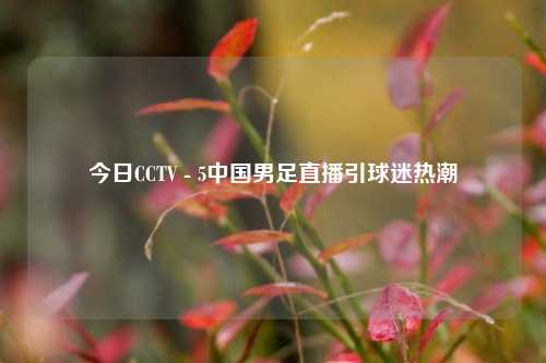 今日CCTV - 5中国男足直播引球迷热潮
