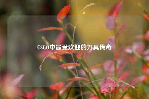 CSGO中最受欢迎的刀具传奇