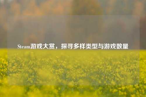 Steam游戏大赏，探寻多样类型与游戏数量