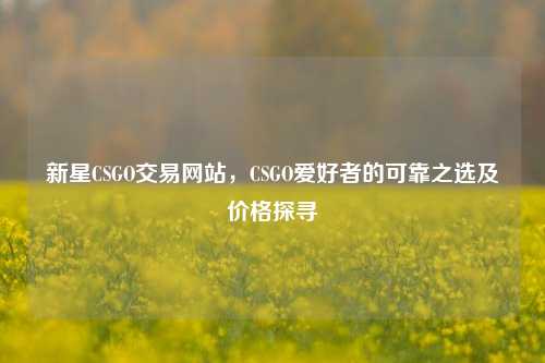 新星CSGO交易网站，CSGO爱好者的可靠之选及价格探寻