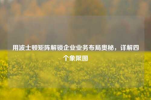 用波士顿矩阵解锁企业业务布局奥秘，详解四个象限图