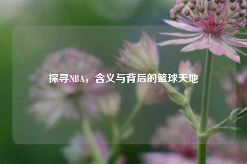 探寻NBA，含义与背后的篮球天地