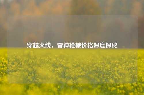 穿越火线，雷神枪械价格深度探秘