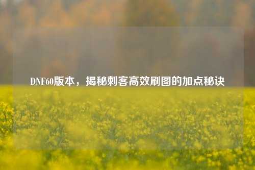DNF60版本，揭秘刺客高效刷图的加点秘诀