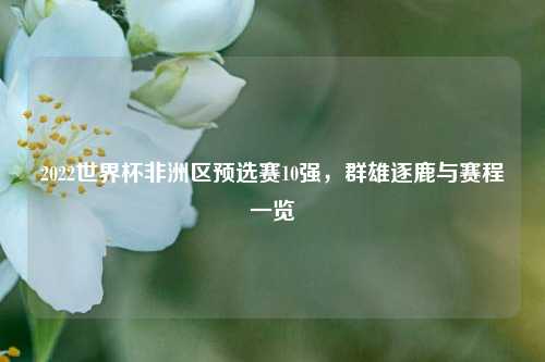 2022世界杯非洲区预选赛10强，群雄逐鹿与赛程一览