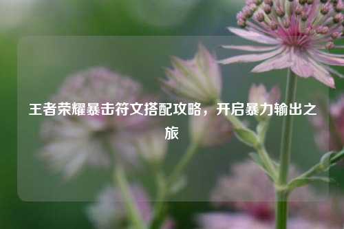 王者荣耀暴击符文搭配攻略，开启暴力输出之旅