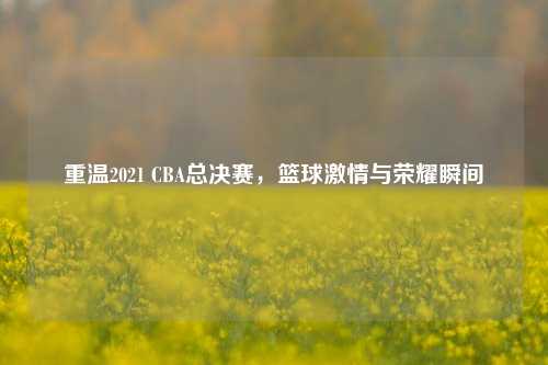 重温2021 CBA总决赛，篮球激情与荣耀瞬间