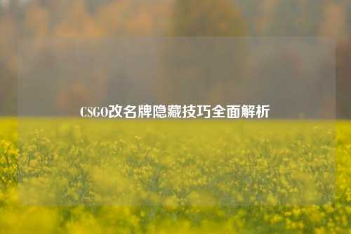 CSGO改名牌隐藏技巧全面解析