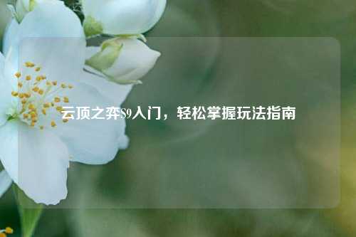云顶之弈S9入门，轻松掌握玩法指南