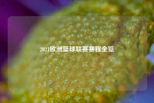 2021欧洲篮球联赛赛程全览