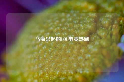 乌海兴起的LOL电竞热潮