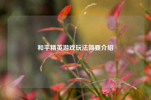 和平精英游戏玩法简要介绍