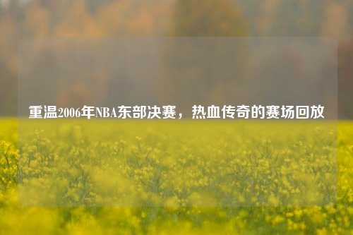 重温2006年NBA东部决赛，热血传奇的赛场回放