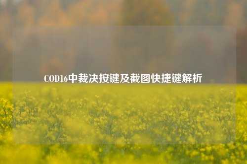 COD16中裁决按键及截图快捷键解析