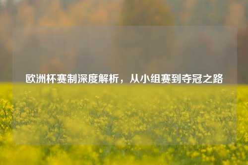 欧洲杯赛制深度解析，从小组赛到夺冠之路