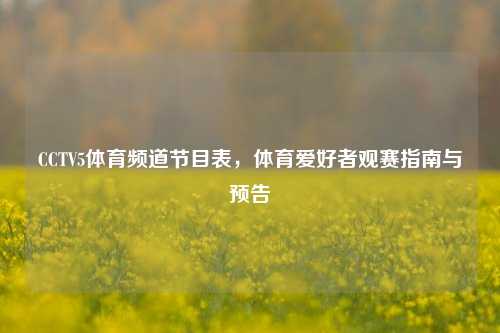 CCTV5体育频道节目表，体育爱好者观赛指南与预告