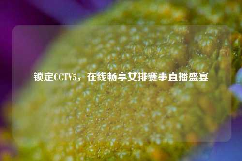 锁定CCTV5，在线畅享女排赛事直播盛宴