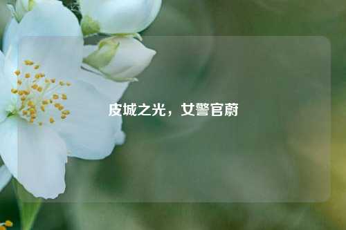 皮城之光，女警官蔚