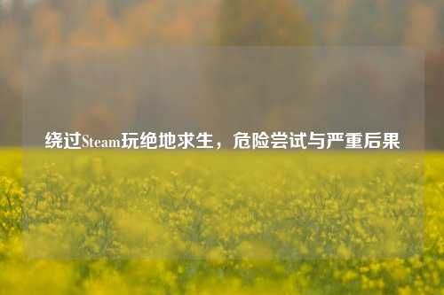绕过Steam玩绝地求生，危险尝试与严重后果