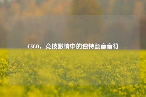 CSGO，竞技激情中的独特颤音音符