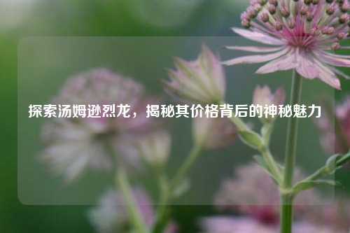探索汤姆逊烈龙，揭秘其价格背后的神秘魅力