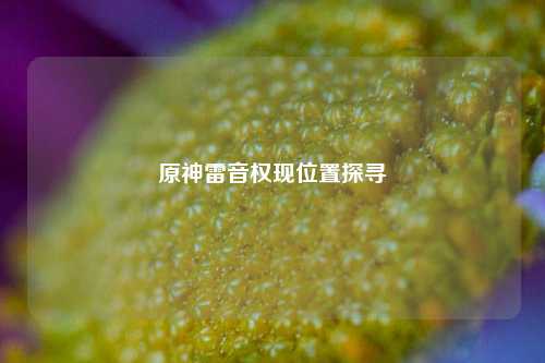 原神雷音权现位置探寻