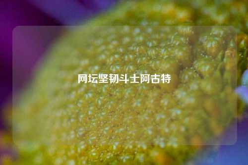 网坛坚韧斗士阿古特
