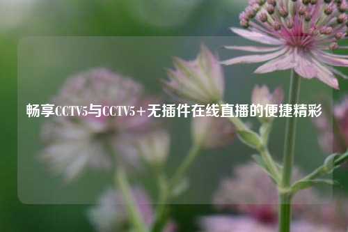 畅享CCTV5与CCTV5+无插件在线直播的便捷精彩