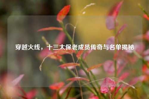 穿越火线，十三太保老成员传奇与名单揭秘