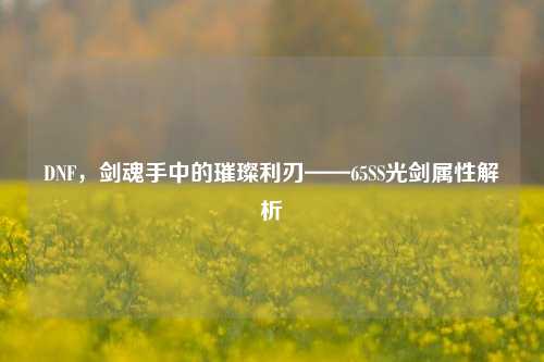 DNF，剑魂手中的璀璨利刃——65SS光剑属性解析