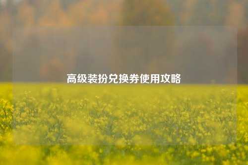高级装扮兑换券使用攻略