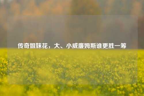 传奇姐妹花，大、小威廉姆斯谁更胜一筹