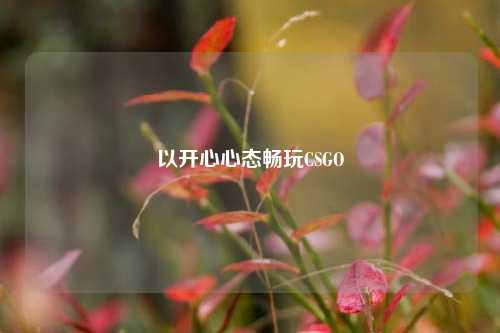以开心心态畅玩CSGO