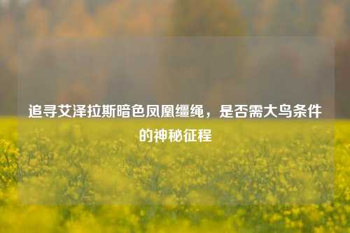 追寻艾泽拉斯暗色凤凰缰绳，是否需大鸟条件的神秘征程