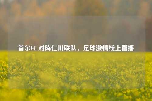 首尔FC 对阵仁川联队，足球激情线上直播