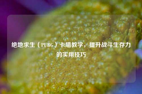 绝地求生（PUBG）卡墙教学，提升战斗生存力的实用技巧