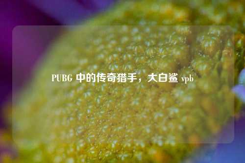 PUBG 中的传奇猎手,大白鲨 vpb