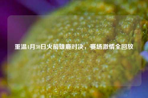 重温4月30日火箭雄鹿对决，赛场激情全回放