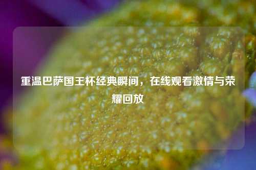 重温巴萨国王杯经典瞬间，在线观看激情与荣耀回放