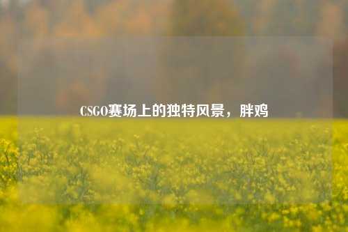CSGO赛场上的独特风景，胖鸡