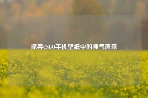 探寻CSGO手机壁纸中的帅气风采