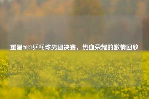 重温2021乒乓球男团决赛，热血荣耀的激情回放