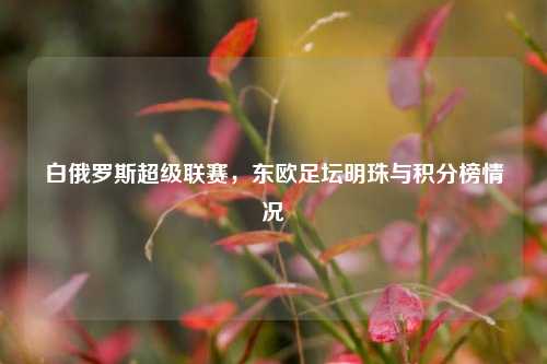 白俄罗斯超级联赛，东欧足坛明珠与积分榜情况