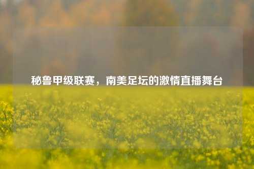 秘鲁甲级联赛，南美足坛的激情直播舞台