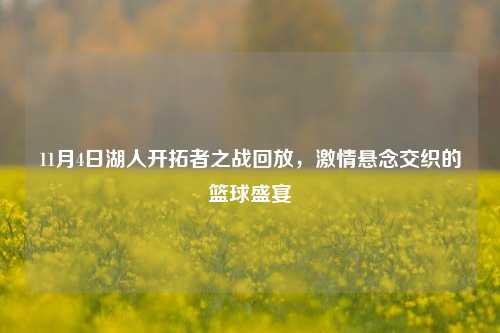 11月4日湖人开拓者之战回放，激情悬念交织的篮球盛宴