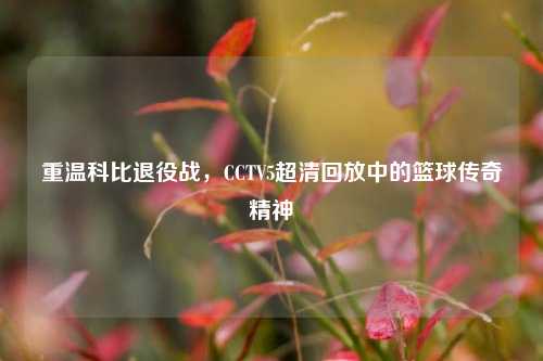 重温科比退役战，CCTV5超清回放中的篮球传奇精神