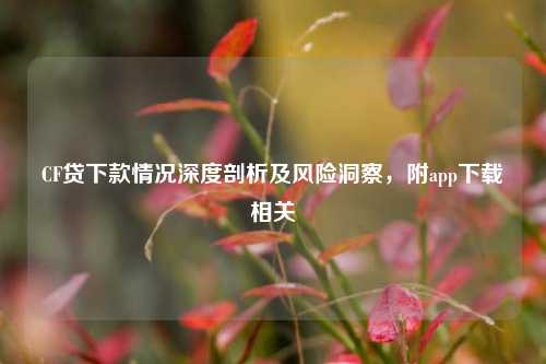CF贷下款情况深度剖析及风险洞察，附app下载相关