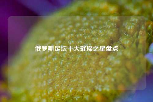 俄罗斯足坛十大璀璨之星盘点